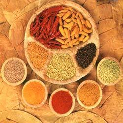 Spice